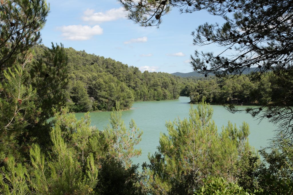 Paysage naturel et aroboré près du camping de montolieu