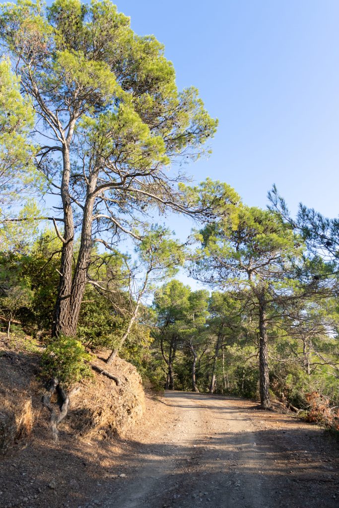 sentier caunes minervois